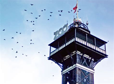 File:Copenhagen Zoo Tower (1106238343).jpg - Wikimedia Commons