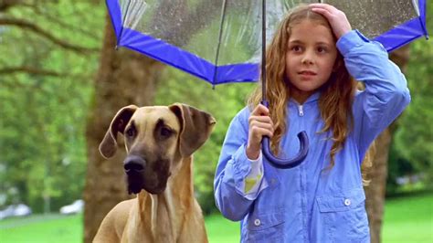 Watch Chestnut Hero Of Central Park 2005 Free Movies Tubi