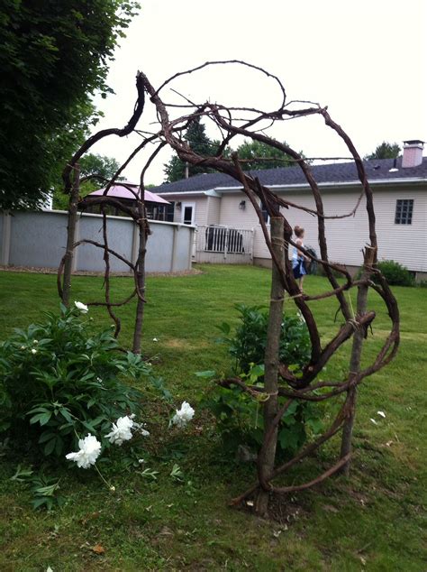 Grape Vine Trellis | Patio landscaping, Vine trellis, Grape vine trellis