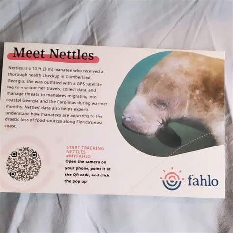 Nettles Manatee Qr Code Fahlo In Wolle Kaufen