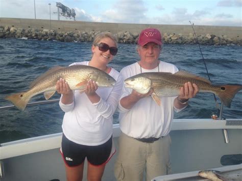 Lots Of Great Red Drum Action Captain Hoggs Charter Service