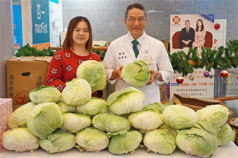 幫助菜農 新竹馬偕醫院義賣10噸高麗菜 民報 Peoplenews