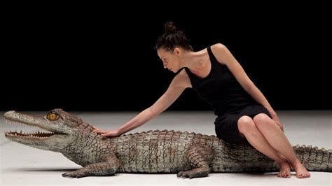 Fotografias de peças de teatro e dança para ver em Odemira Rádio Pax 2025