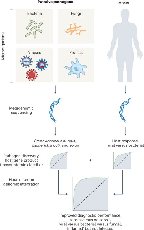 Combining Pathogen And Host Metagenomics For A Better Sepsis Diagnostic