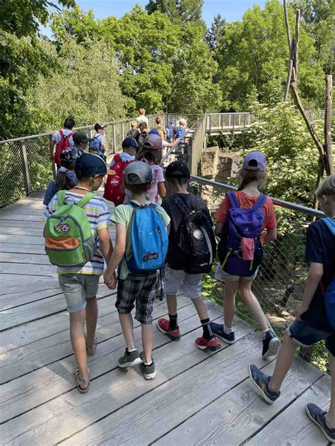 Ausflug in den Zoo Osnabrück Grundschule Cappeln