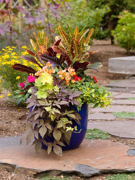 How To Plant A Container Garden In 6 Easy Steps