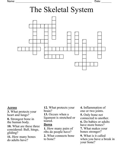 The Skeletal System Crossword WordMint