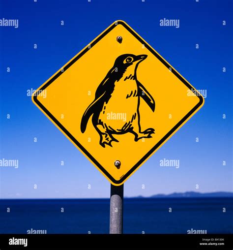 Stanley Tasmania Australia Shield Sign Board Care Penguin Penguins