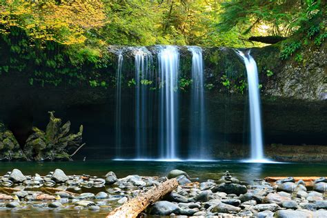 Gambar Pemandangan Pohon Alam Hutan Batu Air Terjun Daun Kolam