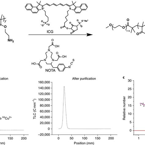 Synthesis And Characterization Of ⁶⁴cu Ups69 Nanoprobes A Schematic