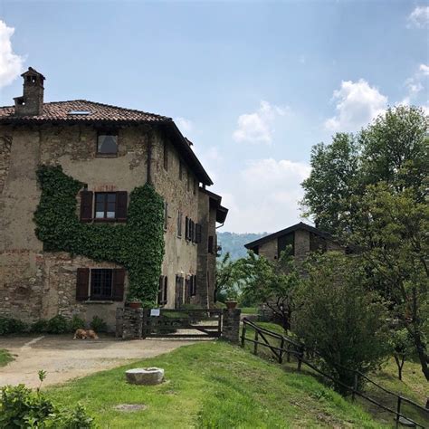 Parco Del Curone Tenuta Costa Con Cagnolone Che Riposa Nel Cortile