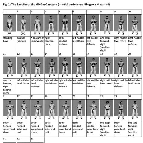 Isshin Concentration The Art Sanchin Of The Gōjū Ryū System See Fig 1
