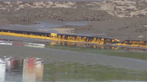 California Oil Spill Kills Wildlife Shuts Down Beaches Youtube