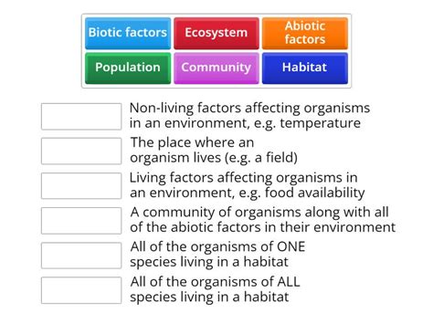 Levels Of Organisation In An Ecosystem Edexcel Gcse Match Up