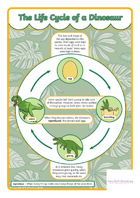 The Life Cycle Of Dinosaur