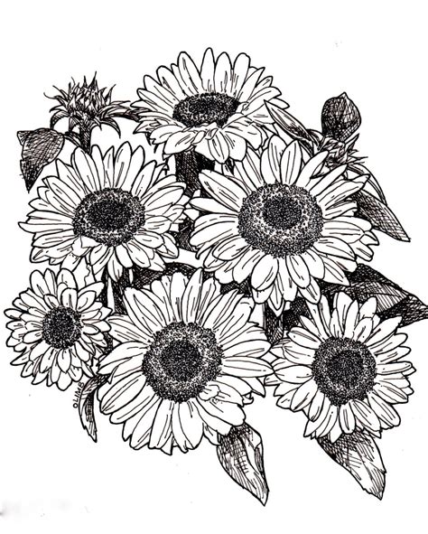 Sunflower Line Drawing At Getdrawings Sunflower Drawing