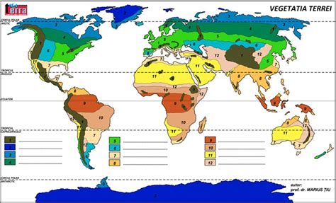 Imi Poate Identifica Cineva Zonele Biogeografice Brainly Ro