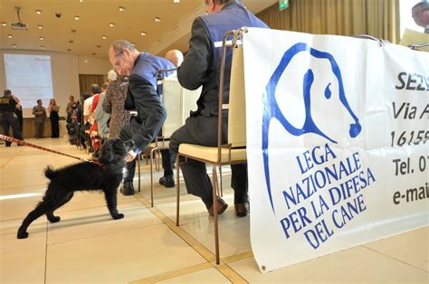 Sanremo Buongiorno LA LEGA NAZIONALE PER LA DIFESA DEL CANE ORGANIZZA