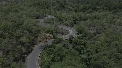 Aerial Drone View Of A Curvy Asphalt Road Leading To The Green