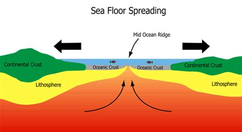 Seafloor Spreading Examples | Review Home Co