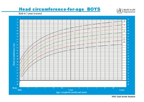 0 2 Tahun Pdf Lingkar Kepala Menurut Usia Pdf