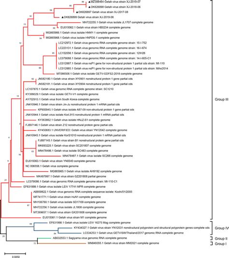 Phylogenetic Analyses Of Nsp1 Gene Nucleotide Sequences Of Getv The Download Scientific