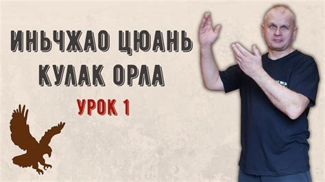 [FB] Основы Иньчжао фаньбао Yz1 Анонс - YouTube
