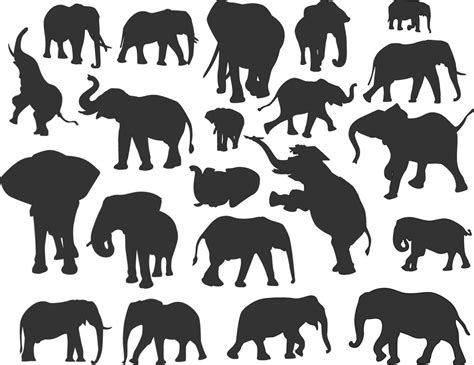 Set Of Elephant Silhouette 28632259 Vector Art At Vecteezy