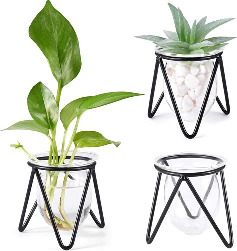 Jspupifip 3 Pcs Glass Plant Terrarium With Metal Stand Air Plants Holders