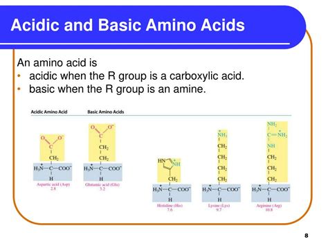 Ppt Chapter 16 Amino Acids Proteins And Enzymes Powerpoint Presentation Id 2968688