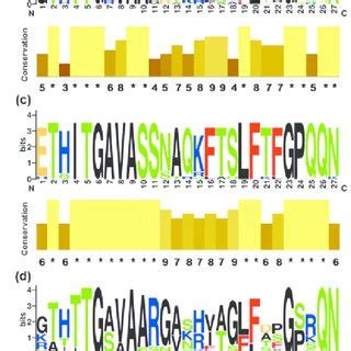 Analysis Of A Simple Hcv Quasispecies Over Time In Patient