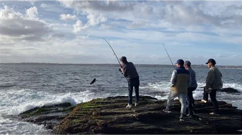 Tautog Fishing At Beavertail Lighthouse Jamestown RI 11 5 2022