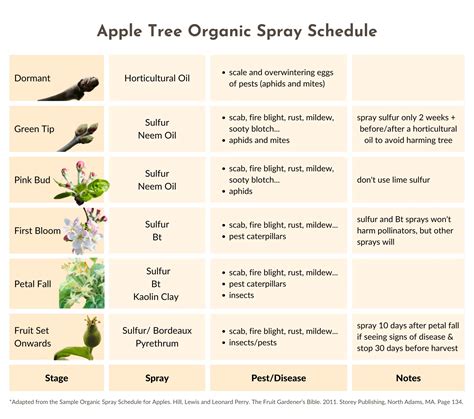 When To Spray Apple Trees Mehrabyan Nursery