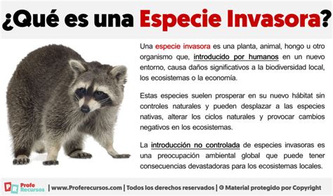 Qué Es Una Especie Invasora Definición Y 5 Ejemplos