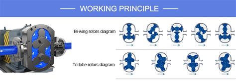 Rotary Lobe Pump Working Principle And Structure