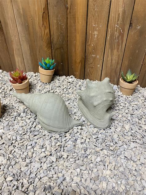 2 Seashells Concrete Statue Conch And Spiral Shell Indoor Outdoor