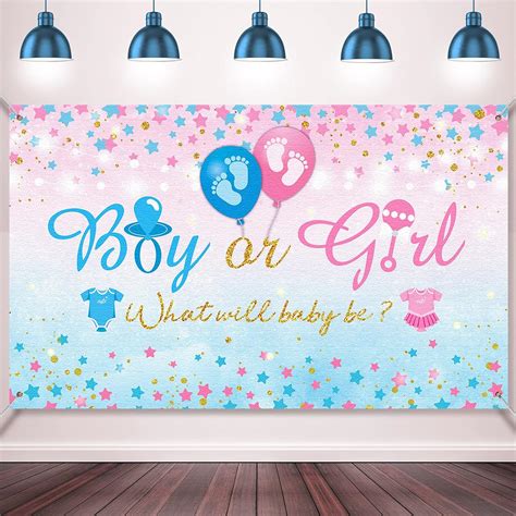 Gender Reveal Party Backdrop Blue Pink What Will Philippines Ubuy