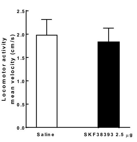 Effects Of Vta Injections Of Skf On Locomotor Activity Over A H