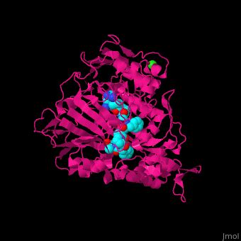 Oligopeptide Binding Protein Proteopedia Life In D