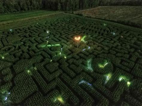 Mazezilla | 11-Acre Corn Maze in the Poconos, Pennsylvania