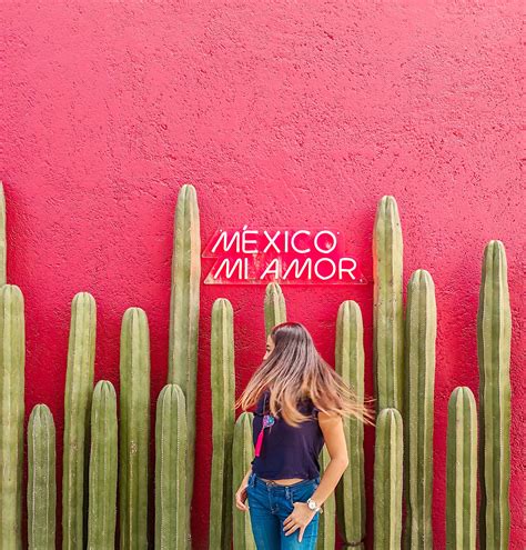 A Woman Standing In Front Of A Pink Wall With Cactuses Behind Her And The Words Mexico Miamor On It