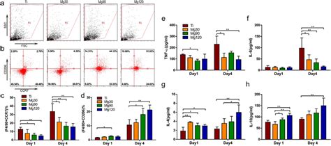 Flow Cytometry Analysis Of Cell Surface Markers On Macrophages