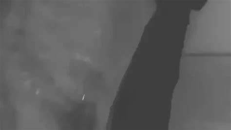 Mummification Porn Videos Gay XXX XHamster