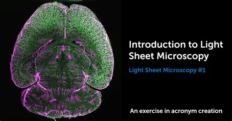 Light Sheet Microscopy Courses | Americanwarmoms.org