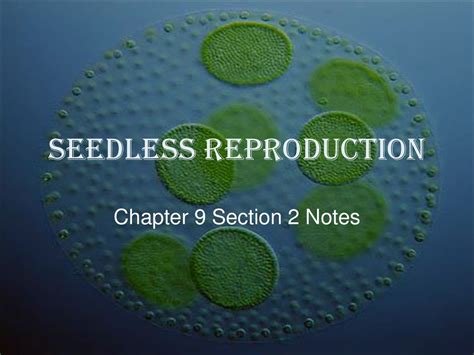 Seedless Reproduction Ppt Download