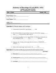 Complete Ap Ii Lab Exam Ii Revised Fillable Pdf Anatomy