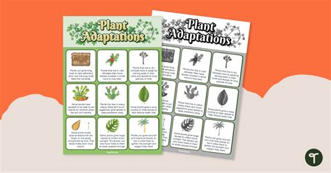 Adaptation In Plants