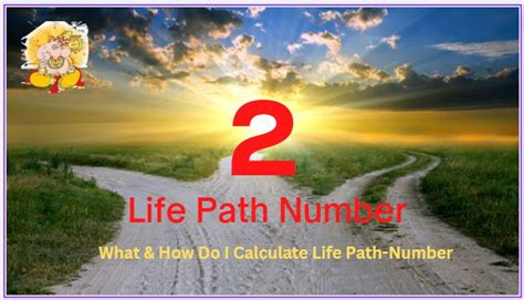 What Is Life Path Number 2 Meaning And Traits By Numerology