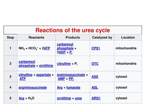 Urea Cycle And Its Significance Ppt Download