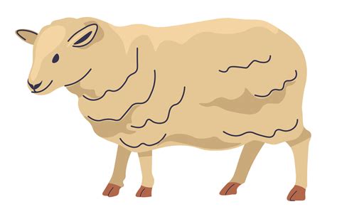 Sheep Farm Animal Production Of Wool And Meat 17743309 Vector Art At
